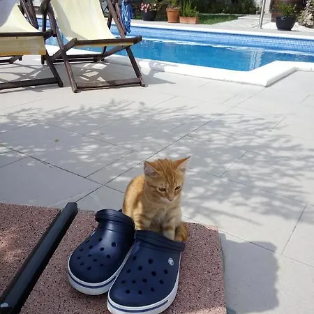 洛萨别墅酒店 公寓 *