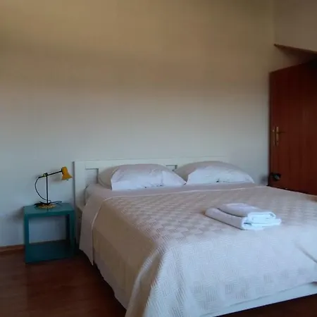 洛萨别墅酒店 *