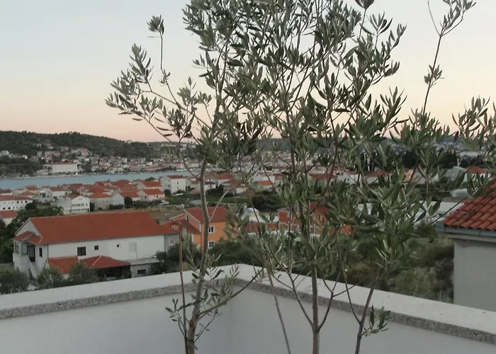 Roza تروغير